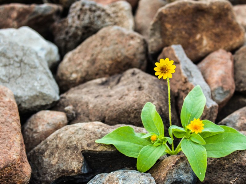 thumbnail of the cover of the post