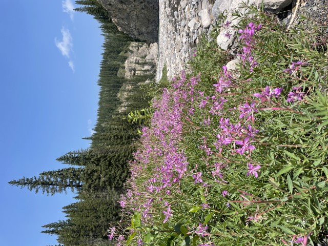 thumbnail of the cover of the post