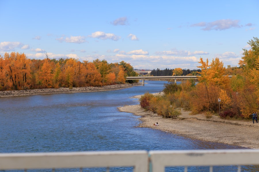 thumbnail of the cover of the post