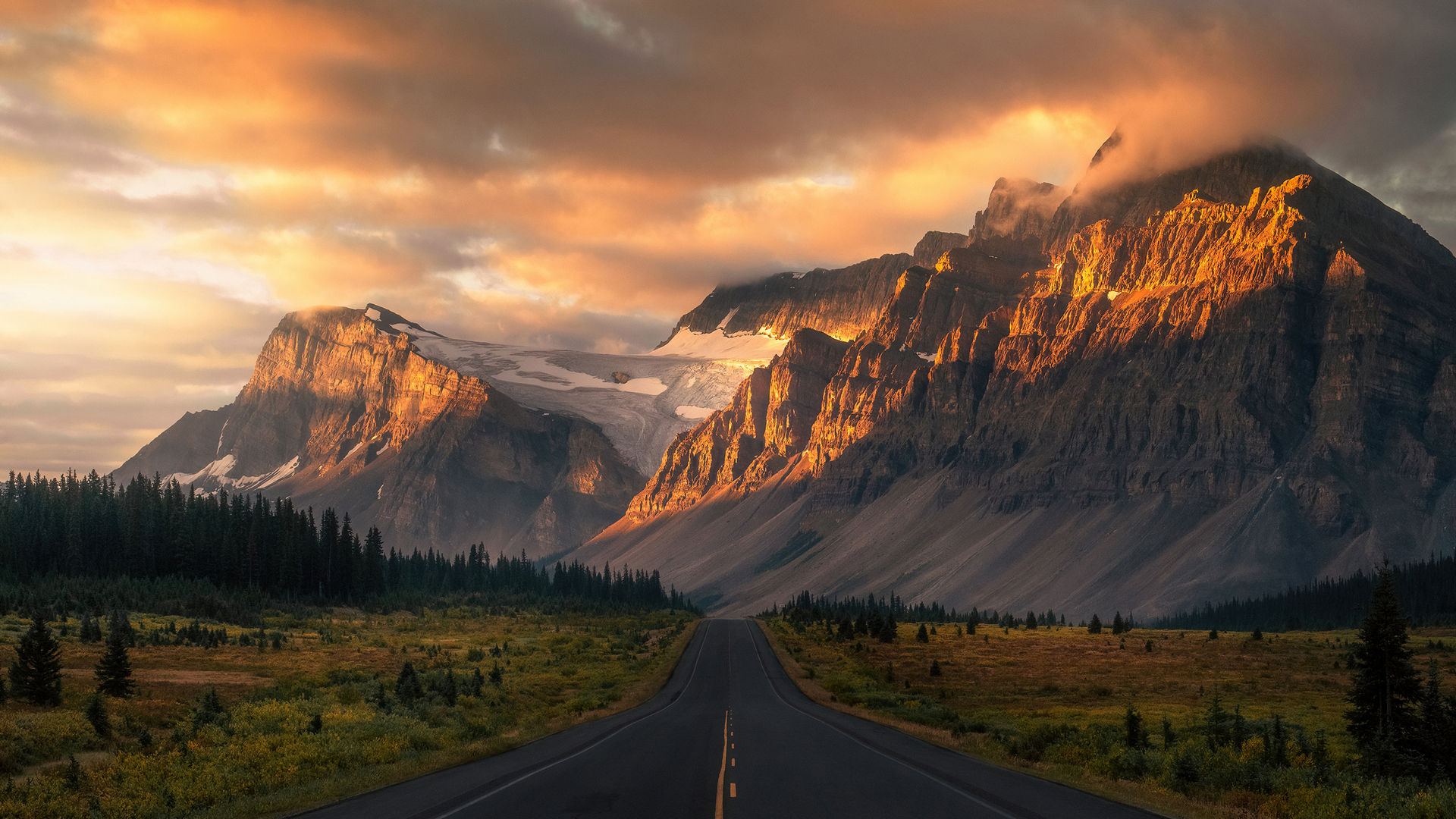 large picture of the cover