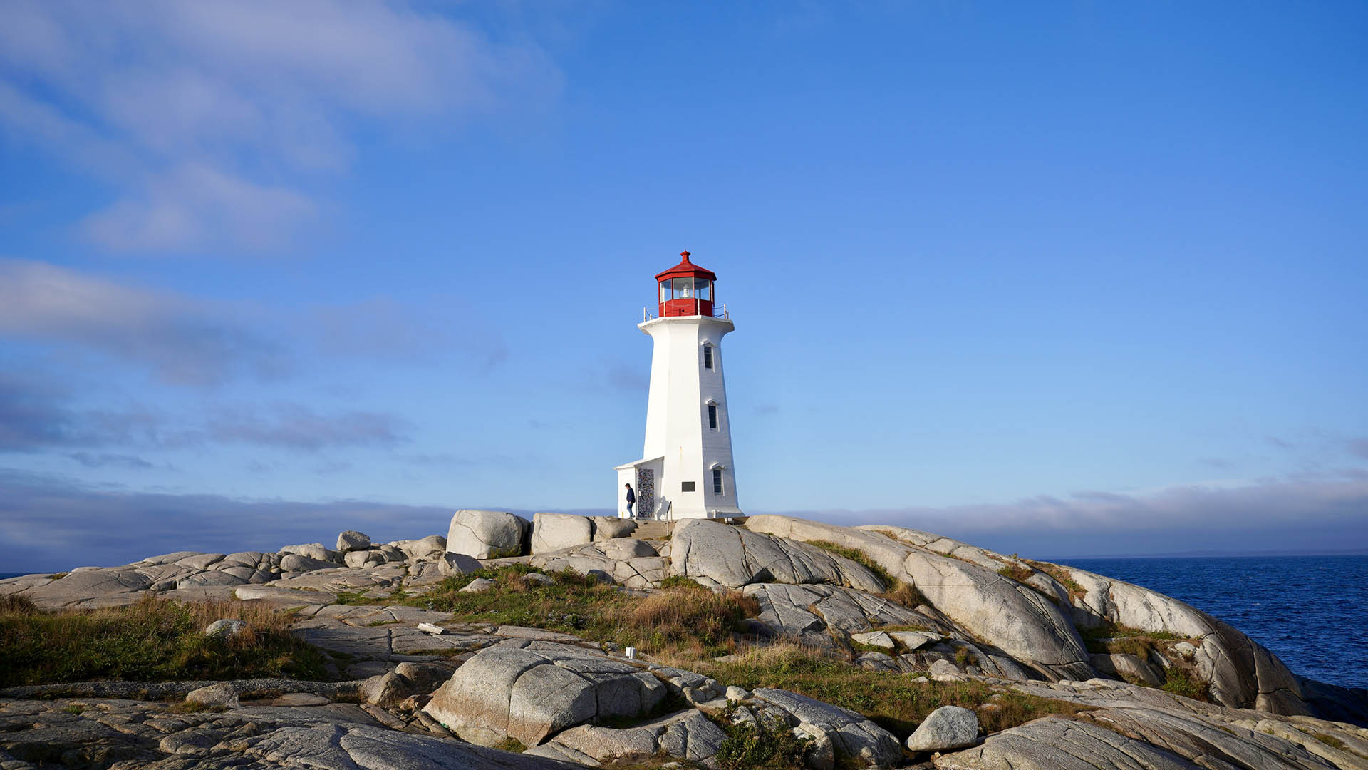 large picture of the cover